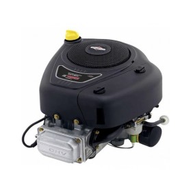 Moteur complet Briggs et...