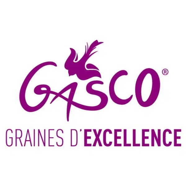 Gasco